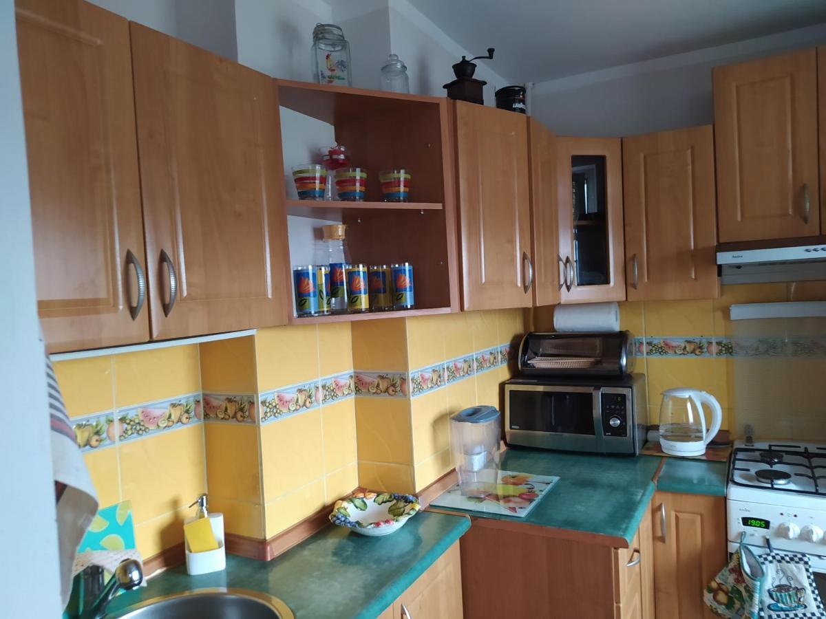 شقة Apartament Z Widokiem Na Sniezke يلينيا غورا المظهر الخارجي الصورة